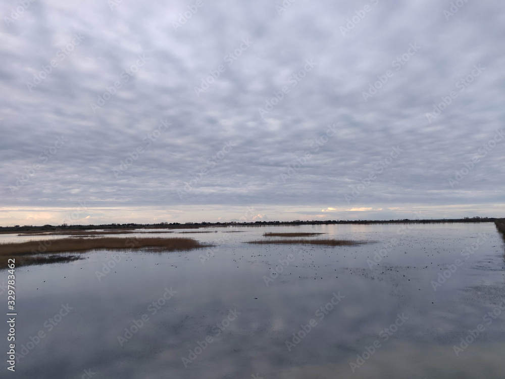 The natural area of ​​Punte Alberete near Ravenna, Italy