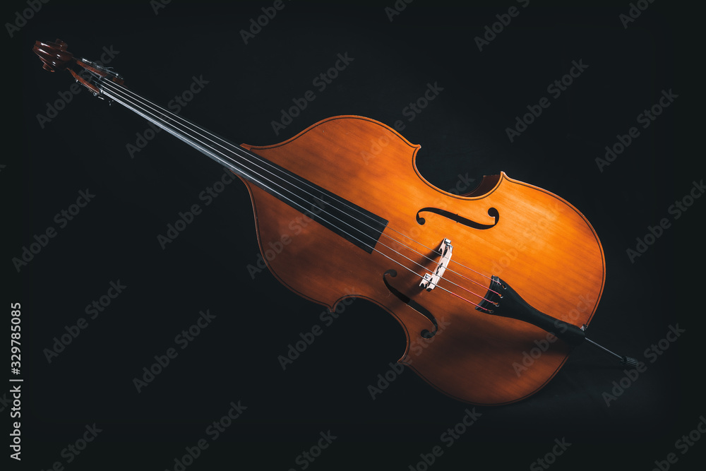 Fototapeta premium Double bass full size view in dark ambient