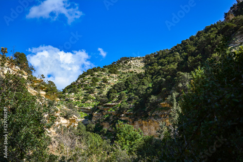 sheer cliffs covered with greenery against a blue sky