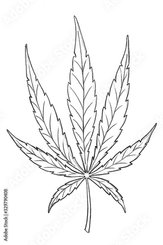 Jpeg illustration. Hand drawing sketch. Marijuana leaf. Cannabis. Isolated on a white. © Okliii