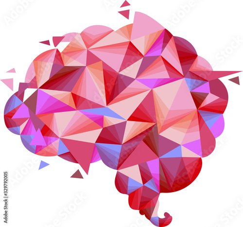 Brain Geometric Design Illu...