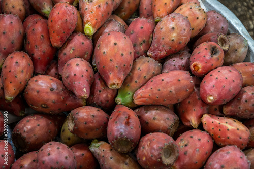 Obraz na plátně barbary fig