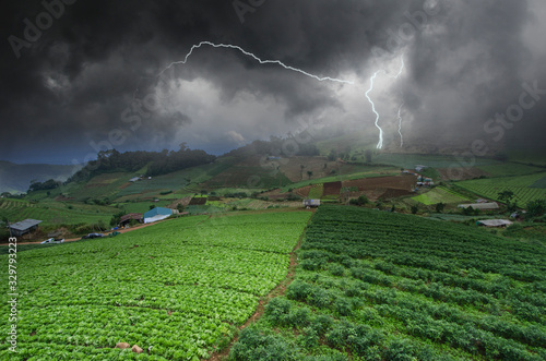 Strong lightning storm over vegetable farm on the mountains