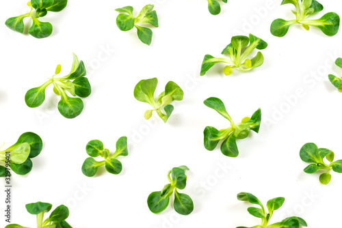 Mash salad on white background.