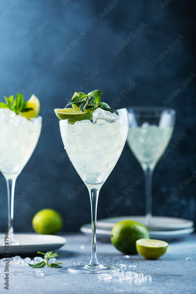 Summer cocktail mojito