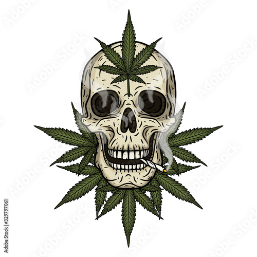 Skull with marijuana leaves. Rastaman skull with cannabis leafs and spliff