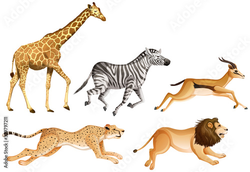 Set of safari animals on white background