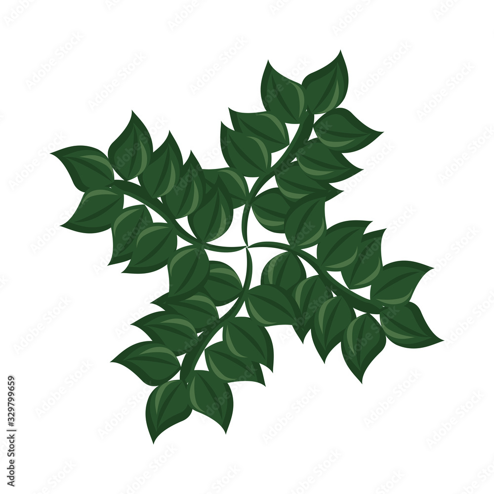 branch with ecology leafs foliage nature icon