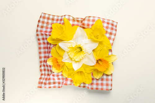 Daffodills central compisition on white background, easter festive basket, flowers on red and white cloth, white daffodill in the middle, copy space, text room