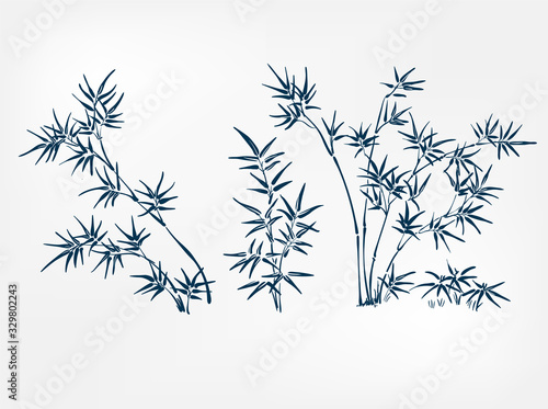 bamboo japanese paint style design sketch design element vector