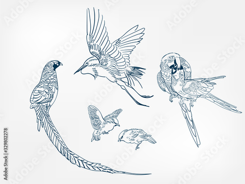 bird pheasant crane japanese paint style design sketch design element vector