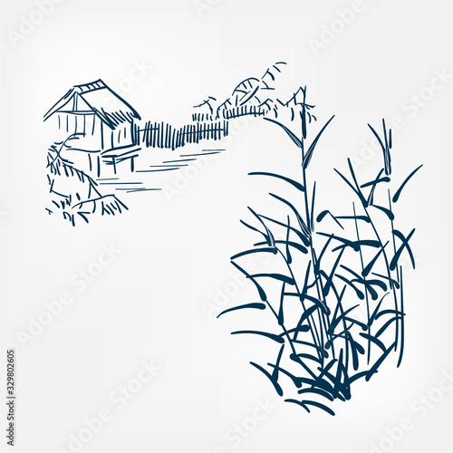 bulrush japanese paint style design sketch design element vector