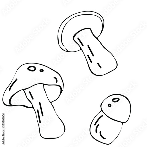 Mushroom hand drawn vector illustration. Isolated Sketch food drawing. Organic vegetarian product for menu, label, packaging
