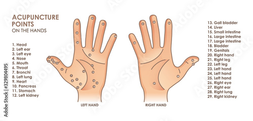 Acupuncture points on the hands. With description of the corresponding Internal organs and body parts. Alternative medicine