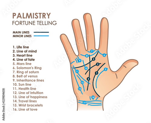 Palmistry. Hand with main and secondary lines and symbols