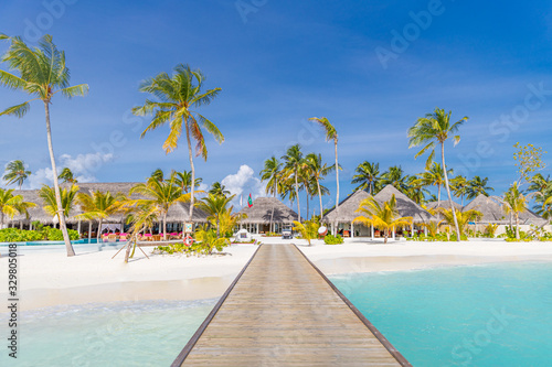 Amazing Maldives island panorama. Beautiful beach scene with palm trees and perfect blue sea water. Relaxing and exotic tropical landscape view. Luxury summer vacation and holiday banner concept 