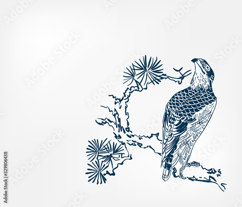 falcon bird pine branch background japanese vector sketch illustration engraved chinese