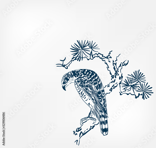 falcon bird pine branch background japanese vector sketch illustration engraved chinese