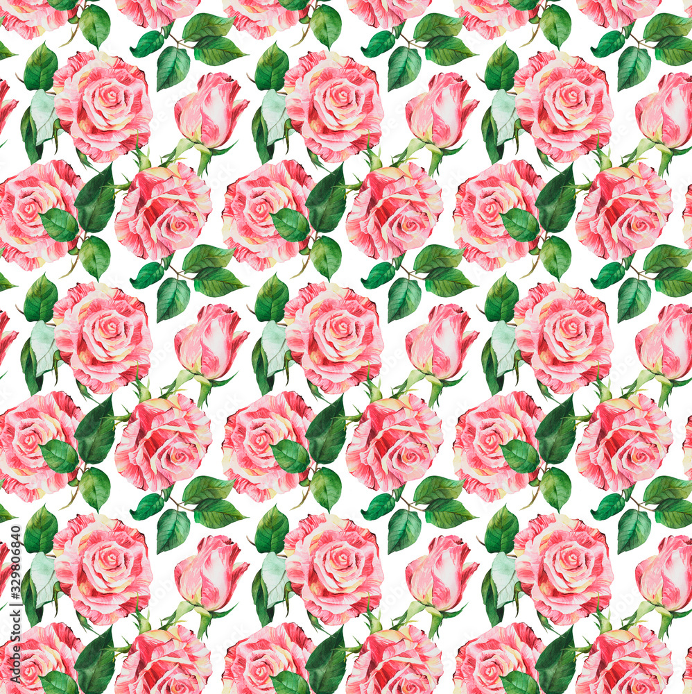 Watercolor seamless pattern with rose, red, pink roses flowers, botanical drawing. Stock illustration. Fabric wallpaper print texture.