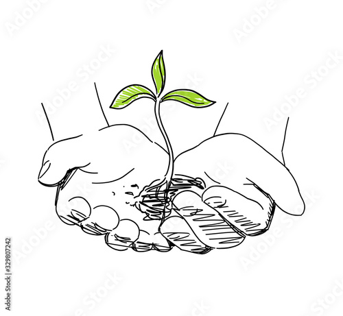 Hands with seeds and sprout. Agriculture sprout in hand. Growth of plants. Sketch hand drawn. On white background. Vector. Front view.