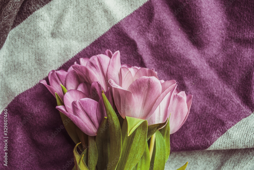 tulips bouquet. flowers in spring, summer, March 8, a gift for Mother's Day. Congratulations on the holiday. beautiful background - obrazy, fototapety, plakaty 
