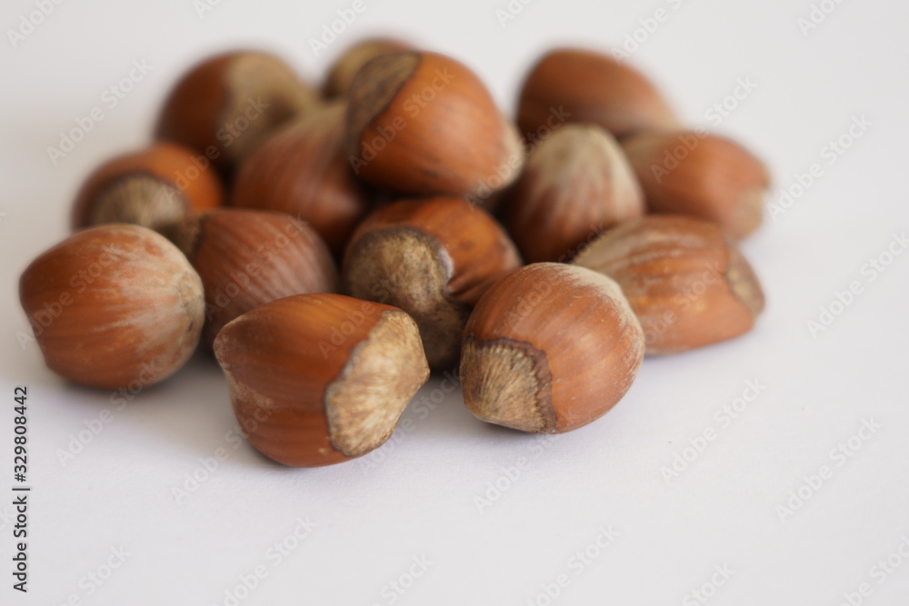 Hazelnut shell dried on white background Hazelnut shell dried on white background