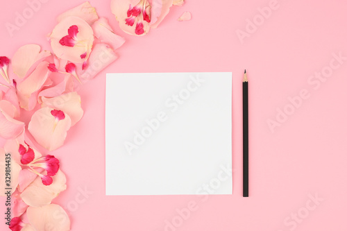 Flat lay blogger or freelancer workspace with a paper card, light pink petals on a color background © SYARGEENKA