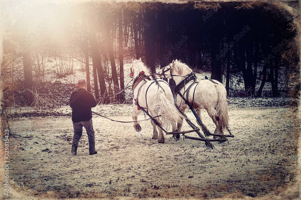 horse trener in winter landscape, old photo effect. - obrazy, fototapety, plakaty 