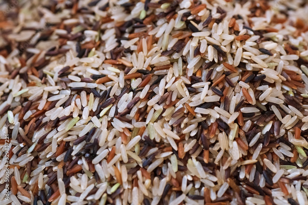 Close up of asia raw rice grain and dry rice background Close up of asia raw rice grain and dry rice background