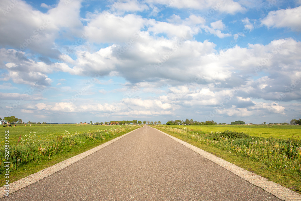 Road in countryside, perspective, under cloud sky and green meadows and a faraway straight horizon.