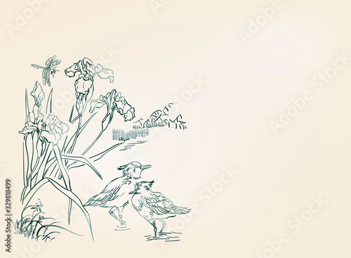 duck bird iris flower nature landscape view vector sketch illustration japanese chinese oriental line art ink card background