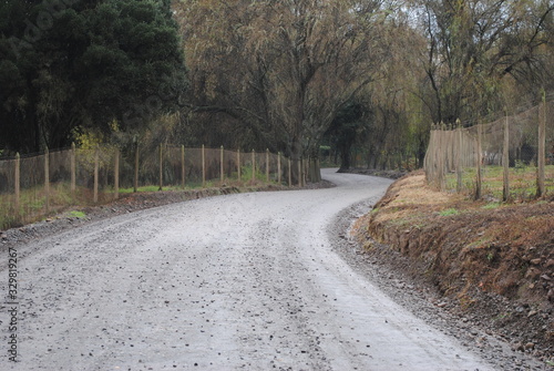 Campo y bosque