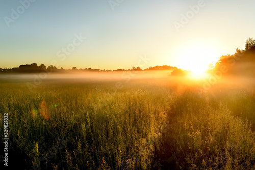 Path in a foggy field with blooming different wildflowers in spring. The sun rising in the fog over the horizon. Beautiful landscape in the early summer morning.