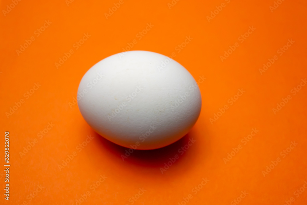 Chicken egg on an orange background