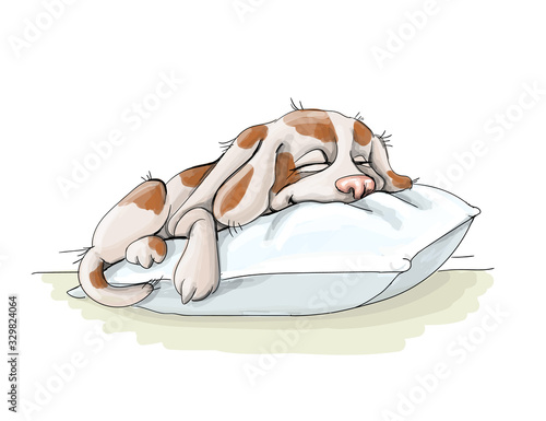 vector illustration spotted dog resting,sommer vacation nice photo