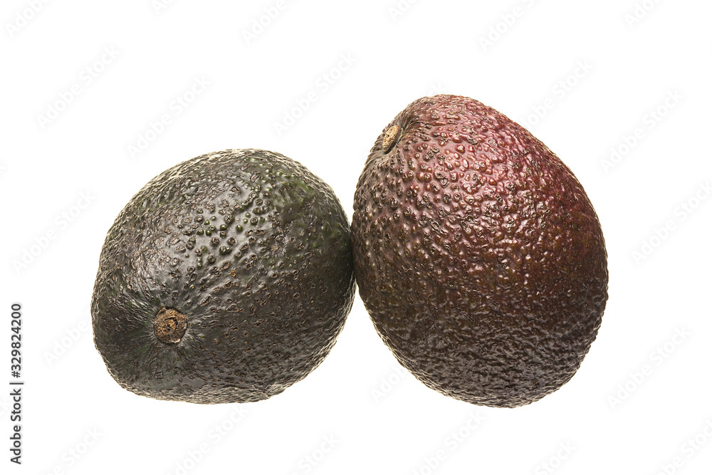 Two whole avocados. Fruit isolate on a white background. Two whole avocados. Fruit isolate on a white background.