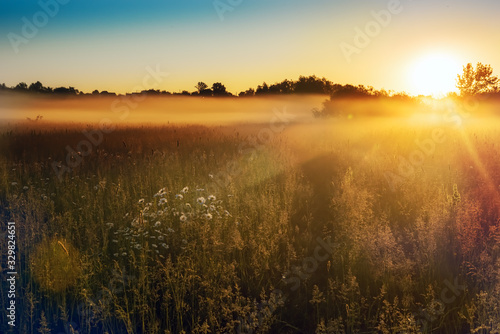 Fototapeta Naklejka Na Ścianę i Meble -  Path in a foggy field with blooming different wildflowers in spring. The sun rising in the fog over the horizon. Beautiful landscape in the early summer morning.