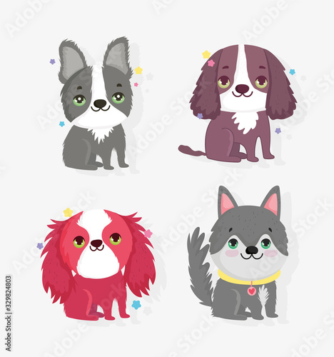 cute little dogs sitting domestic cartoon animal, collection pets