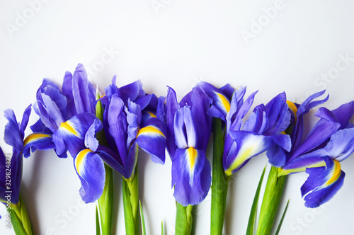 Flowers on a white background. Blue. beautiful purple flowers.