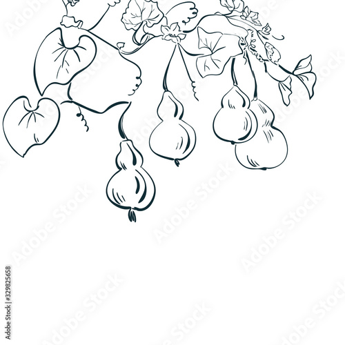 gourd pumpkin bottle set collection japanese chinese oriental vector ink style design elements illustration