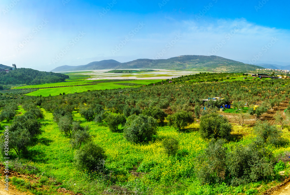 Landscape and countryside in the Netofa Valley