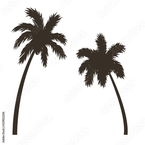 Silhouettes of two hawaii beach palm trees