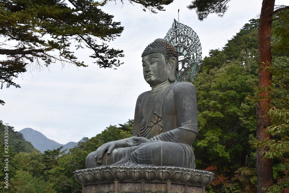Giant Buddha Statue, Full Shot, Diagonal, Seoraksan National Park, Korea Giant Buddha Statue, Full Shot, Diagonal, Seoraksan National Park, Korea