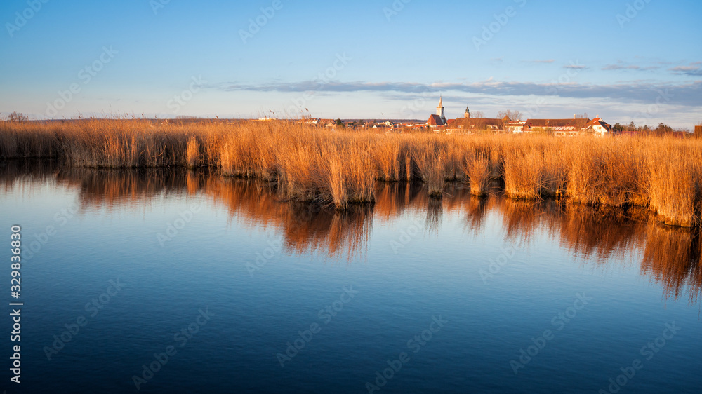 Reed belt near village of Rust at Neusiedlersee