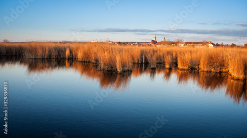 Reed belt near village of Rust at Neusiedlersee