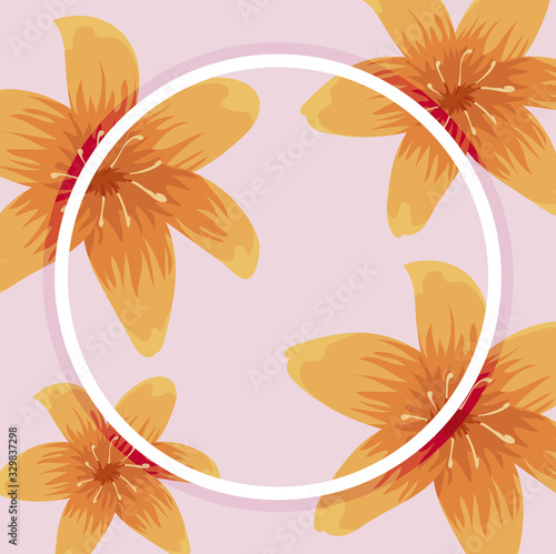 yellow flowers and pink background and circular frame