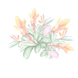 Beautiful tropical flower botany art illustration