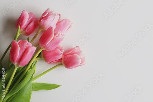Fototapeta Naklejka Na Ścianę i Meble -  Pink tulips on a white background. Spring concept. Greeting card.