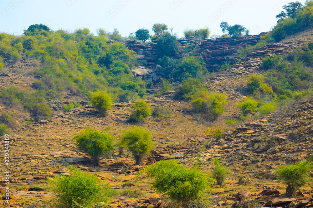 Mountain with tree Mountain with tree