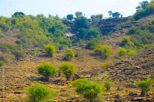 Mountain with tree